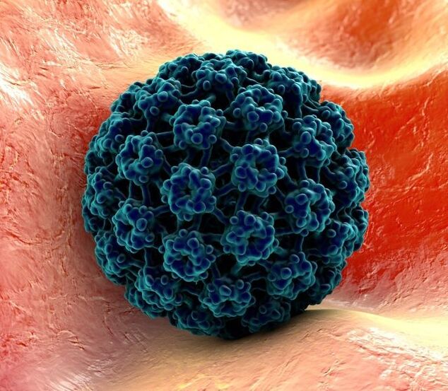 Modél 3D HPV ngabalukarkeun kutil dina leungeun
