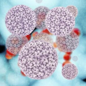 molekul papillomavirus manusa